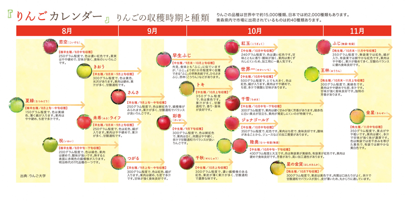 りんごは品種によって収穫時期が違う