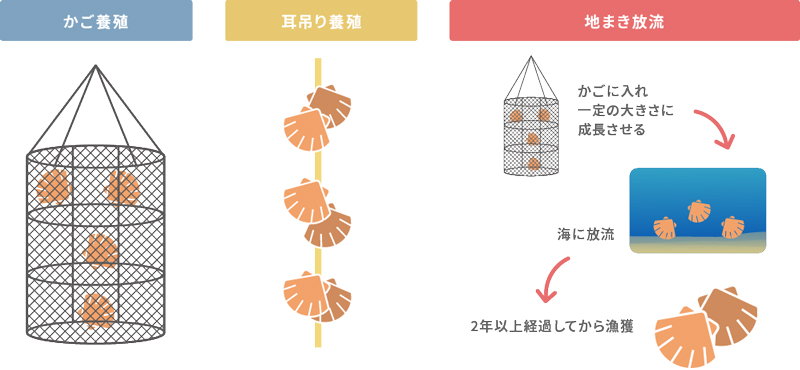 ホタテ養殖には3種類の方法がある