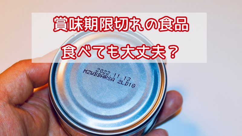 賞味期限切れの食品は食べても大丈夫？安全性と見極めポイント